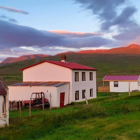 Skarth Guesthouse Saudarkrokur Exterior foto